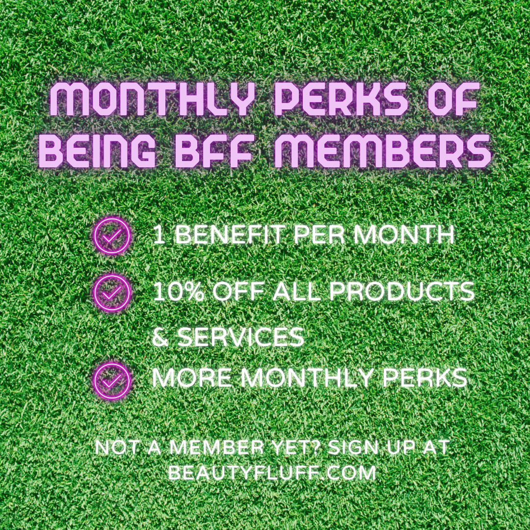BFF Member Monthly Perks 2025 - BEAUTYFLUFF